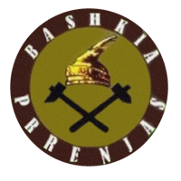 https://healthy.qarkuelbasan.gov.al/wp-content/uploads/2025/08/bashkiaperrenjas.png