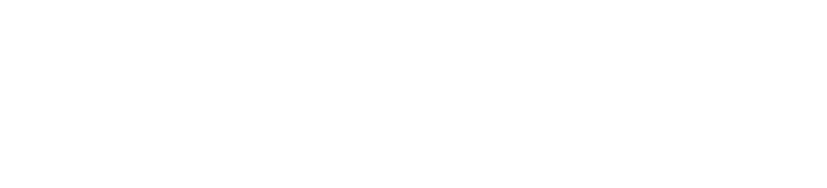 https://healthy.qarkuelbasan.gov.al/wp-content/uploads/2026/06/hartasherbimeveshendetesoreelbasan-logo-bardhe.png